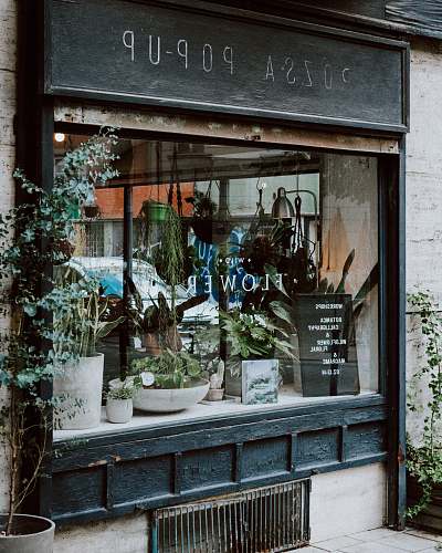 home decor flower shop wild flower bar